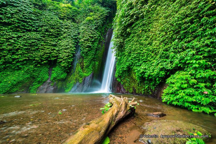Air Terjun Melanting - 30 Air Terjun di Bali Terbaik &amp; Terhits, Wisata Alam Instagramable, 1. Air Terjun Aling Aling, 2. Air Terjun Banyumala, 3. Air Terjun Goa Rang Reng, 4. Air Terjun Leke Leke, 5. Air Terjun Tukad Cepung, 6. Air Terjun Tegenungan, 7. Air Terjun Kanto Lampo, 8. Air Terjun Wana Ayu, 9. Air Terjun Nungnung, 10. Air Terjun Sekumpul, 11. Air Terjun Gitgit, 12. Air Terjun Banyu Wana Amertha, 13. Air Terjun Peguyangan, 14. Air Terjun Tibumana, 15. Air Terjun Tembok Barak, 16. Air Terjun Cemara, 17. Air Terjun Jembong, 18. Air Terjun Munduk, 19. Air Terjun Melanting, 20. Air Terjun Dusun Kuning, 21. Air Terjun Kroya, 22. Air Terjun Pantai Melasti, Tanah Lot, 23. Air Terjun Yeh Mempeh, 24. Air Terjun Blemantung, 25. Air Terjun Lemukih, 26.  Air Terjun Carat, 27. Air Terjun Juwuk Manis, 28. Air terjun Bunutin, 29. Air Terjun Colek Pamor, 30. Air terjun Yeh Mampeh