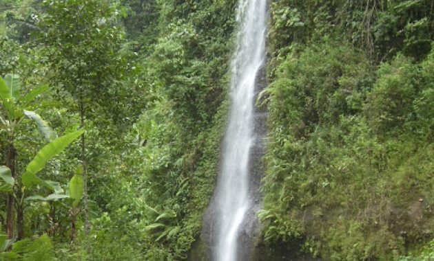 Air Terjun Nglumprit via Wikipedia, 1. Air Terjun Sumenep, 2. Air Terjun Jurang Manten, 3. Air Terjun Banyu Anjlok, 4. Air Terjun Kedung Ombo, 5. Air Terjun Pancuran, 6. Air Terjun Songgo Langit, 7. Air Terjun Undak Manuk, 8. Air Terjun Suroloyo, 9. Air Terjun Nganjok, 10. Air Terjun Dung Paso, 11. Air Terjun Nglumprit, 12. Air Terjun Kedung Bobot, 13. Air Terjun Setatah, 14. Air Terjun Grenjengan Dowo, 15. Air Terjun Nongko Pace, 16. Air Terjun Cabe, 17. Air Terjun Kalen Wates, 18. Air Terjun Gembong Papasan