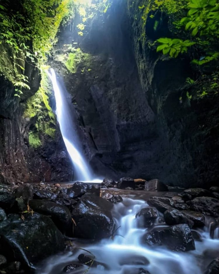 Air Terjun Suroloyo via IG @kopitani_94, 1. Air Terjun Sumenep, 2. Air Terjun Jurang Manten, 3. Air Terjun Banyu Anjlok, 4. Air Terjun Kedung Ombo, 5. Air Terjun Pancuran, 6. Air Terjun Songgo Langit, 7. Air Terjun Undak Manuk, 8. Air Terjun Suroloyo, 9. Air Terjun Nganjok, 10. Air Terjun Dung Paso, 11. Air Terjun Nglumprit, 12. Air Terjun Kedung Bobot, 13. Air Terjun Setatah, 14. Air Terjun Grenjengan Dowo, 15. Air Terjun Nongko Pace, 16. Air Terjun Cabe, 17. Air Terjun Kalen Wates, 18. Air Terjun Gembong Papasan