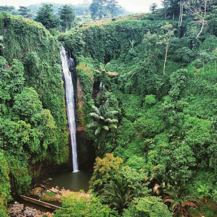 Air Terjun Songgo Langit via IG @bangsri_terkini, 1. Air Terjun Sumenep, 2. Air Terjun Jurang Manten, 3. Air Terjun Banyu Anjlok, 4. Air Terjun Kedung Ombo, 5. Air Terjun Pancuran, 6. Air Terjun Songgo Langit, 7. Air Terjun Undak Manuk, 8. Air Terjun Suroloyo, 9. Air Terjun Nganjok, 10. Air Terjun Dung Paso, 11. Air Terjun Nglumprit, 12. Air Terjun Kedung Bobot, 13. Air Terjun Setatah, 14. Air Terjun Grenjengan Dowo, 15. Air Terjun Nongko Pace, 16. Air Terjun Cabe, 17. Air Terjun Kalen Wates, 18. Air Terjun Gembong Papasan