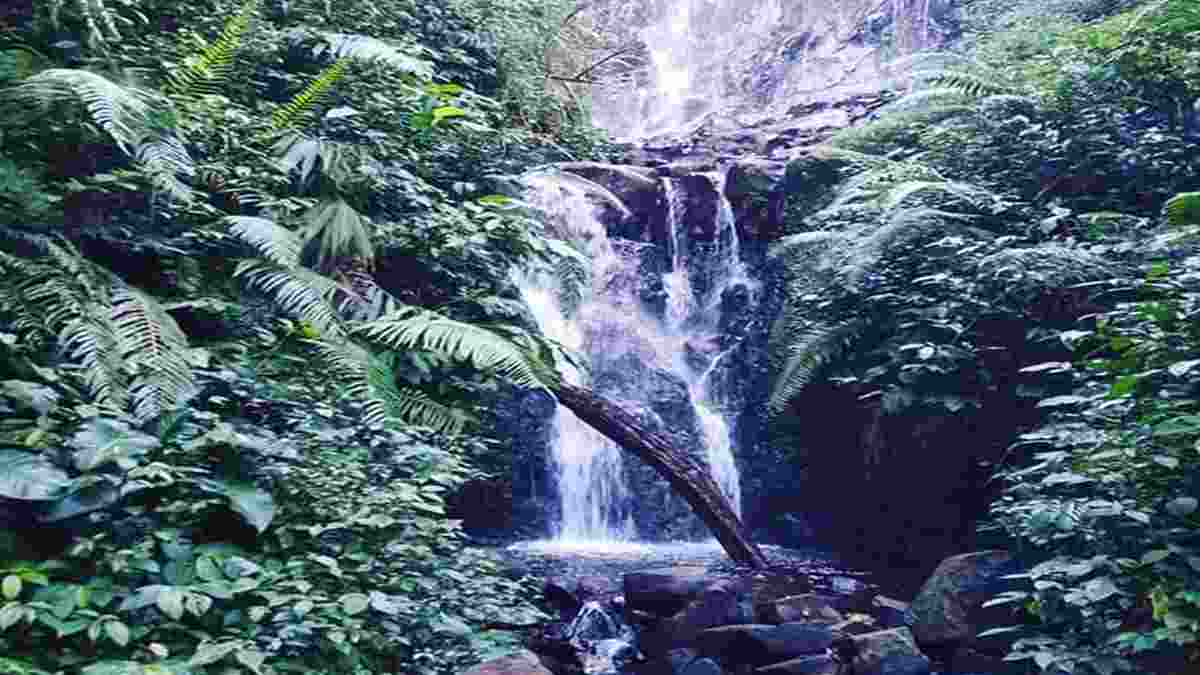 Curug Bunar via Harapan Rakyat, 1. Curug Badak, 2. Curug Agung Galunggung, 3. Curug Ciparay, 4. Curug Dengdeng, 5. Curug Cimedang, 6. Curug Sawer, 7. Curug Batu Blek, 8. Curug Cimanintin, 9. Curug Batu Mahpar, 10. Curug Putih, 11. Curug Cileutak, 12. Curug Koja, 13. Curug Gado Bangkong, 14. Curug Cihanjung, 15. Curug Arjuna, 16. Curug Wayang Tasikmalaya, 17. Curug Amoh, 18. Curug Ti’ah (Landeuh), 19. Curug Cinunjang, 20. Curug Paseh, 21. Curug Cipinaha, 22. Curug Ciwatin, 23. Curug Bunar, 24. Curug Tonjong, 25. Curug Gedus, 26. Curug Patapaan, 27. Curug Gegebos, 28. Curug Teureup, 29. Curug Entep