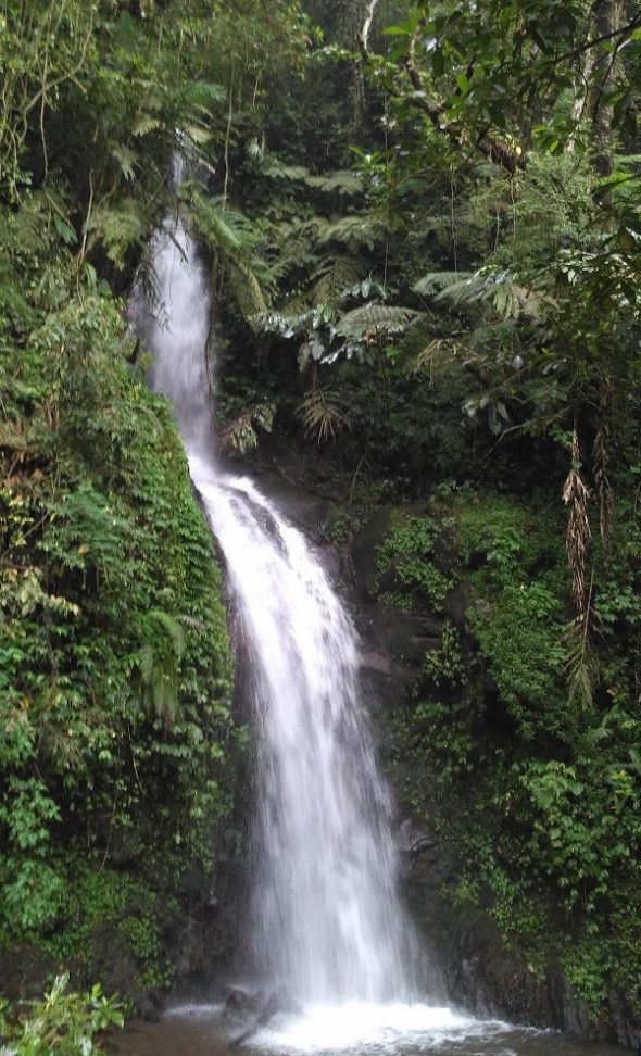 Curug Cisurian Kuningan Foto by Arie Apriyatna, 1. Curug Landung, 2. Curug Cikahuripan Kuningan, 3. Curug Putri Palutungan, 4. Curug Ngelay Kuningan, 5. Curug Sidomba, 6. Curug Cisurian Kuningan, 7. Curug Payung Palutungan, 8. Curug Winujati, 9. Curug Bangkong, 10. Curug Cilengkrang Kuningan, 11. Curug Nyandung, 12. Curug Cigalagah, 13. Curug Gongseng, 14. Curug Paranje, 15. Curug Cibuntu, 16. Curug Sagarahiang, 17. Curug Luhur Kuningan, 18. Curug Parakan Panjang, 19. Curug Cibunar, 20. Curug Lebak Jeruk