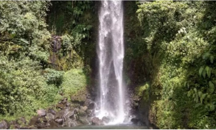 Curug Gado Bangkong via Google Maps Ri Ve, 1. Curug Badak, 2. Curug Agung Galunggung, 3. Curug Ciparay, 4. Curug Dengdeng, 5. Curug Cimedang, 6. Curug Sawer, 7. Curug Batu Blek, 8. Curug Cimanintin, 9. Curug Batu Mahpar, 10. Curug Putih, 11. Curug Cileutak, 12. Curug Koja, 13. Curug Gado Bangkong, 14. Curug Cihanjung, 15. Curug Arjuna, 16. Curug Wayang Tasikmalaya, 17. Curug Amoh, 18. Curug Ti’ah (Landeuh), 19. Curug Cinunjang, 20. Curug Paseh, 21. Curug Cipinaha, 22. Curug Ciwatin, 23. Curug Bunar, 24. Curug Tonjong, 25. Curug Gedus, 26. Curug Patapaan, 27. Curug Gegebos, 28. Curug Teureup, 29. Curug Entep