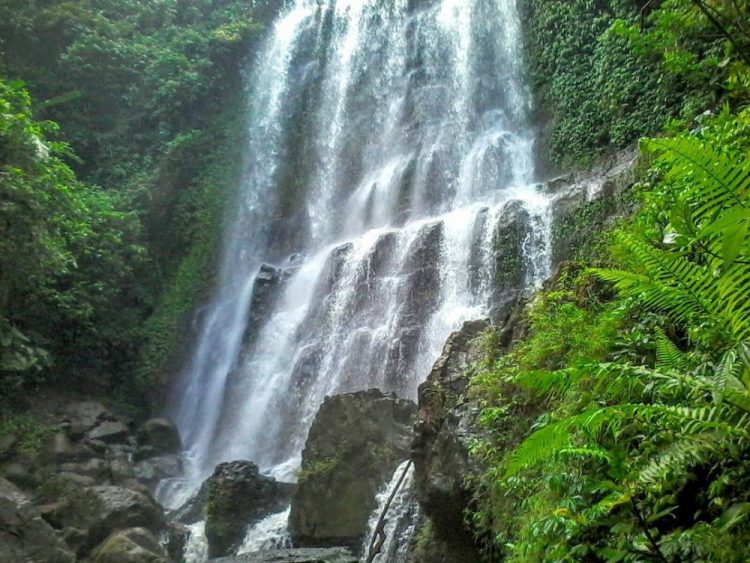 Curug Penampen via IG @masdain_309, 1. Curug Cimandaway, 2. Curug Mandala, 3. Air Terjun Curug Bandung, 4. Curug Citepus Cilacap, 5. Curug dan Pemandian Air Panas Cipari, 6. Curug Penampen, 6. Curug Cigombong Cilacap, 7. Curug Rahayu, 8. Curug Giriwangi Cilacap, 9. Curug Panganten Karangpucung Cilacap, 10. Curug Nikhram, 11. Curug Cibekong, 12. Curug Ciprut, 13. Curug Tunggul Naga jambusari, 14. Curug Taman Desa Ciruyung