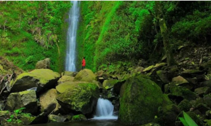 Curug Remis via Google Maps, 1. Curug Sempong, 2. Air Terjun Baligo, 3. Curug Sawer, 4. Curug Cilutung, 5. Curug Tonjong, 6. Air Terjun Ibun Pelangi, 7. Curug Cipeuteuy, 8. Curug Muara Jaya, 9. Curug Awul, 10. Curug Campaga, 11. Curug Ciwanda, 12. Curug Cipeureus, 13. Curug Puntang, 14. Curug Situhiang, 15. Curug Tapak Kuda, 16. Curug Cicangkrung, 17. Curug Cibali, 18. Curug Sawiyah, 19. Curug Kemuning, 20. Curug Remis