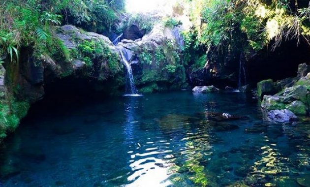 Curug Telaga Sunyi, 1. Objek Wisata Terkenal Baturaden di Purwokerto, 2. Tempat Wisata Alam Curug Gede di Purwokerto, 3. Objek Wisata Alam Air Terjun Curug Ceheng di Purwokerto, 4. Tempat Wisata Seru di Baturraden Adventure Forest Purwokerto, 5. Objek Wisata Air hangat belerang di Pancuran 7 di Purwokerto, 6. Tempat Wisata Seru Telaga sunyi di Purwokerto, 7. Objek Wisata Alam Curug Cipendok, 8. Objek Wisata Religi Gua Maria Kaliori di Purwokerto, 9. Wisata Kuliner Mendoan khas Purwokerto, 10. Destinasi Wisata Menantang Mendaki Gunung Slamet, 11. Tempat Wisata Seru Pemandian Kalibacin , 12. Tempat Wisata Keluarga Batur Agung di Purwokerto (Sudah Tutup), 13. Tempat Rekreasi Keluarga Telaga Pucung , 14. Monumen Panglima Besar Jenderal Sudirman , 15. Wahana Rekreasi Dreamland Park Pancasan di Purwokerto, 16. Wahana Permainan Seru Crossworld Paintball, 17. Nyantai di Alun-alun Lama Kota Banyumas, 18. Serunya Liburan di Depo Bay Depo Pelita Purwokerto, 19. Objek Wisata Terbaru Curug Nangga Di Banyumas, 20. Bukit Watu Meja, 21. Museum Bank Rakyat Indonesia, 22. Wisata Bendungan Gerak Serayu, 23. Tempat Wisata Alam Bukit Tranggulasih Purwokerto, 24. Liburan Seru ke Batur Agung Mount of Fun Purwokerto, 25. Wisata Alam Curug Gomblang di Purwokerto, 26. Curug Bayan, 27. Curug Telu, 28. Bukit Bintang Baturaden, 29. Wisata Alam Pancuran 3 Purwokerto, 30. Miniatur Dunia Purwokerto (Small World), 31. Bukit Pandang Munggang, 32. Puncak Dinar, 33. Bukit Gadog, 34. Kebun Bunga Matahari Rempoah, 35. Bukit Agaran, 36. Hutan Pinus Limpakuwus, 37. Curug Pinang, 38. The Forest Island, 39. The Village Purwokerto, 40. Bumi Perkemahan Wana Wisata Baturaden, 41. Taman Kaloka Widya Mandala