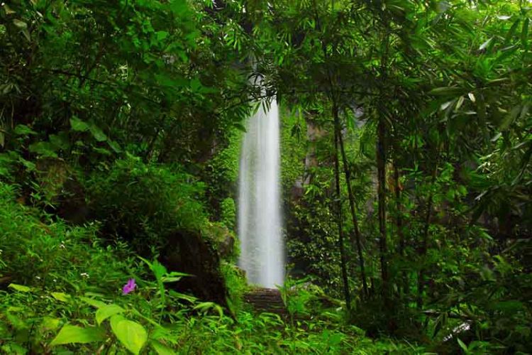 Air Terjun Sigong, 1. Air Terjun Sekar Langit, 2. Curug Silawe, 3. Air Terjun Sikencling, 4. Air Terjun Grenjengan Kembar, 5. Air Terjun Goa Slandak, 6. Air Terjun Sumuran, 7. Air Terjun Kedung Kayang, 8. Curug Gleyor, 9. Grojogan Kapuhan, 10. Air Terjun Ngesong, 11. Curug Watu Ploso, 12. Curug Lawang Kori, 13. Curug Sigetik, 14. Curug Bujet, 15. Air Terjun Sigong, 16. Kedung Sembrani, 17. Wisata Alam Curug Delimas, 18. Curug Lawe, 19. Curug Winong