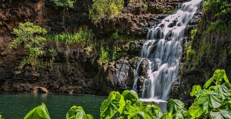 Air Terjun Waimea 20 Tempat Wisata di Pulau Oahu Terpopuler &amp; Terhits Dikunjungi!, Informasi Dasar, Daya Tarik Oahu Island, Aktivitas Seru &amp; Tempat Wisata di Pulau Oahu, Aktivitas Wisata Random di Pulau Oahu, Tips dan Trik, Akses dan Orientasi