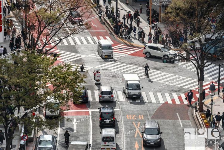 Bunkamura Dori via Agefotostock, Informasi Dasar, Daya Tarik Wisata Shibuya, Aktivitas Seru di Shibuya, Akses Menuju ke Shibuya