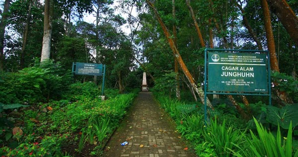 Cagar Alam Junghuhn, 1. Mari mulai dari atraksi wisata populer di Bandung yang bisa kalian jajal dengan harga minimalis, bahkan ada yang gratis lho! Misalnya saja aneka taman tematiknya yang keren, 2. Dengan 10 ribu rupiah, kalian bisa mengelilingi kota Bandung sambil bergaya keren di atas Bus Bandros, 3. Salurkan hasratmu jadi koboi dengan naik kuda. Harganya mulai dari 5 ribuan saja lho, 4. Ingin tahu seperti apa suasana pasar terapung? Nggak usah jauh-jauh ke Thailand karena di Bandung pun ada Floating Market, 5. Terkadang, wisata murah bisa begitu dekat dengan bintang. Nggak percaya? Mampir saja ke Observatorium Bosscha yang ada di bilangan Lembang untuk membuktikannya, 6. Walau bukan obyek wisata mayor, Cagar Alam Junghuhn layak untuk dikunjungi oleh kalian yang menghargai jasa para pahlawan, 7. Air terjun Maribaya selalu menjadi favorit bagi mereka yang mencintai suasana alam dengan budget yang ekonomis, 8. Dan, dari Maribaya, kalian bisa langsung menuju Taman Hutan Raya Juanda. Harga tiketnya sama ekonomisnya lho, 9. Untuk melengkapi kunjungan di Taman Hutan Raya Juanda, sekalian saja mampir ke tempat selfie paling populer di Bandung, yaitu Tebing Keraton, 10. Menikmati sejuknya udara Bandung bisa kalian lakukan sambil mengenal ragam fauna di Kebun Binatang Bandung, 11. Area Bandung Selatan juga punya banyak obyek wisata yang menyayangi kantong kalian. Misalnya saja wisata Kawah Putih-nya yang super populer itu, 12. Untuk kalian para pecinta wisata alam dan pengagum nilai-nilai romantisme, Situ Patenggang menjadi tempat yang wajib kalian sambangi di Bandung, 13. Mampirlah ke Pemandian Air Panas Cibolang yang akan menghangatkan tubuh kalian dari gigitan udara dingin di Ciwidey, 14. Cibolang bukan satu-satunya tempat yang dapat menghangatkan tubuh kalian saat dingin. Kunjungi saja Taman Wisata Alam Cimanggu yang juga menawarkan kolam pemandian air panas alami, 15. Atau, mampirlah ke pemandian Air Panas Alami Walini/Rancawalini juga populer di wilayah Ciwidey. Kalian dapat menikmati suasana berendam air panas di tengah perkebunan teh, 16. Wisata di Ciwidey akan semakin lengkap jika kalian berjalan-jalan di tengah Perkebunan Teh Rancabali. Pemandangannya yang indah akan membuat siapapun mendadak suka mengambil foto, 17. Untuk menutup wisata hemat di Bandung, mampirlah ke Pasar Gedebage untuk belanja pakaian second berkualitas bagus. Harganya? Murah meriah!, 18. Balitsa Lembang yang Instagramable, 19. Keindahan Babakan Siliwangi yang bikin mata terpana, 20. Mengintip Dinosaurus di Museum Geologi, 21. Kawah Rengganis yang begitu eksotis, 22. Epic Sunrise di Venue Gantole Cililin, 23. Menikmati pesona alam hijau di Bukit Teletubies, 24. Menikmati pesona alam hijau khas bebukitan di Bukit Jamur, 25. Pesona Curug Bellarosa yang bikin pikiran adem, 26. Epiknya pemandangan di Gunung Nini Pangalengan