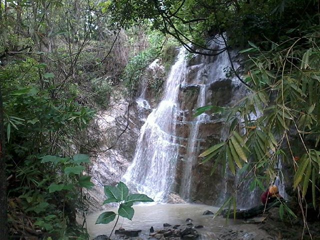 Curug Kedungwuni via Instagram, 1. Curug Wringin, 2. Curug Gemawang, 3. Curug Leses, 4. Curug Sudimoro, 5. Curug Silangit, 6. Grojogan Kuang, 7. Curug Kedungwuni, 8. Curug Sawangan, 9. Curug Kedondong, 10. Curug Karang Gemantung , 11. Air Terjun Kalicurug, 12. Air Terjun Sindaro Kebumen, 13. Curug Domas Kebumen, 14. Curug Pandansari, 15. Air Terjun Silancur, 16. Air Terjun Sikebut