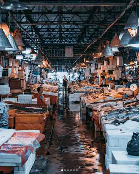 Dongdaemun Market, Mengurus Visa Korea, Transportasi Menuju Seoul, Memilih Penginapan di Seoul, Rekomendasi Tempat Wisata di Seoul, Rekomendasi Tempat Wisata di Seoul Lainnya, Tempat Wisata Belanja di Seoul, Wisata Budaya Tradisional Korea, Destinasi Wisata Tradisional, Tempat Wisata Paling Instagramable di Seoul, Tempat Wisata Paling Palace di Seoul, Museum di Seoul yang Wajib Dikunjungi, Tempat Wisata untuk Pencinta K-Pop di Seoul, Wisata Alam dan Taman di Seoul