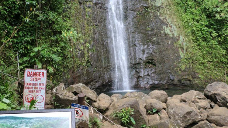 Manoa Falls Foto by State Department of Land and Natural Resources, Informasi Dasar, Daya Tarik Oahu Island, Aktivitas Seru &amp; Tempat Wisata di Pulau Oahu, Aktivitas Wisata Random di Pulau Oahu, Tips dan Trik, Akses dan Orientasi