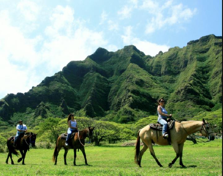 Menjelajah Alam via Tempo, Informasi Dasar, Tentang Kepulauan Hawaii, Daya Tarik Wisata di Hawaii, Aktivitas Wisata Seru di Hawaii, Akses Menuju Kepulauan Hawaii