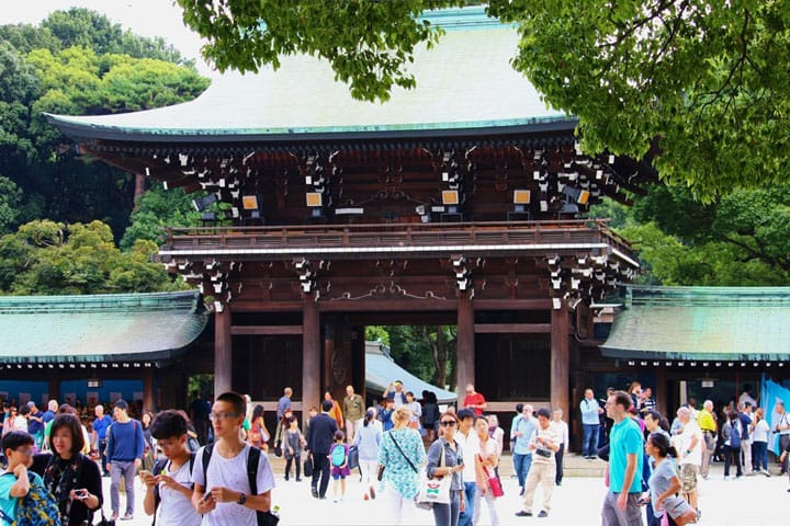 Meiji-jingu via Matcha-Jp, Informasi Dasar, Daya Tarik Wisata Harajuku, Aktivitas Wisata yang Wajib Dilakukan di Harajuku, Akses Harajuku 