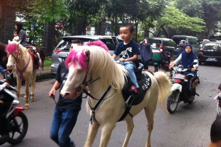 Naik Kuda via Merdeka, 1. Mari mulai dari atraksi wisata populer di Bandung yang bisa kalian jajal dengan harga minimalis, bahkan ada yang gratis lho! Misalnya saja aneka taman tematiknya yang keren, 2. Dengan 10 ribu rupiah, kalian bisa mengelilingi kota Bandung sambil bergaya keren di atas Bus Bandros, 3. Salurkan hasratmu jadi koboi dengan naik kuda. Harganya mulai dari 5 ribuan saja lho, 4. Ingin tahu seperti apa suasana pasar terapung? Nggak usah jauh-jauh ke Thailand karena di Bandung pun ada Floating Market, 5. Terkadang, wisata murah bisa begitu dekat dengan bintang. Nggak percaya? Mampir saja ke Observatorium Bosscha yang ada di bilangan Lembang untuk membuktikannya, 6. Walau bukan obyek wisata mayor, Cagar Alam Junghuhn layak untuk dikunjungi oleh kalian yang menghargai jasa para pahlawan, 7. Air terjun Maribaya selalu menjadi favorit bagi mereka yang mencintai suasana alam dengan budget yang ekonomis, 8. Dan, dari Maribaya, kalian bisa langsung menuju Taman Hutan Raya Juanda. Harga tiketnya sama ekonomisnya lho, 9. Untuk melengkapi kunjungan di Taman Hutan Raya Juanda, sekalian saja mampir ke tempat selfie paling populer di Bandung, yaitu Tebing Keraton, 10. Menikmati sejuknya udara Bandung bisa kalian lakukan sambil mengenal ragam fauna di Kebun Binatang Bandung, 11. Area Bandung Selatan juga punya banyak obyek wisata yang menyayangi kantong kalian. Misalnya saja wisata Kawah Putih-nya yang super populer itu, 12. Untuk kalian para pecinta wisata alam dan pengagum nilai-nilai romantisme, Situ Patenggang menjadi tempat yang wajib kalian sambangi di Bandung, 13. Mampirlah ke Pemandian Air Panas Cibolang yang akan menghangatkan tubuh kalian dari gigitan udara dingin di Ciwidey, 14. Cibolang bukan satu-satunya tempat yang dapat menghangatkan tubuh kalian saat dingin. Kunjungi saja Taman Wisata Alam Cimanggu yang juga menawarkan kolam pemandian air panas alami, 15. Atau, mampirlah ke pemandian Air Panas Alami Walini/Rancawalini juga populer di wilayah Ciwidey. Kalian dapat menikmati suasana berendam air panas di tengah perkebunan teh, 16. Wisata di Ciwidey akan semakin lengkap jika kalian berjalan-jalan di tengah Perkebunan Teh Rancabali. Pemandangannya yang indah akan membuat siapapun mendadak suka mengambil foto, 17. Untuk menutup wisata hemat di Bandung, mampirlah ke Pasar Gedebage untuk belanja pakaian second berkualitas bagus. Harganya? Murah meriah!, 18. Balitsa Lembang yang Instagramable, 19. Keindahan Babakan Siliwangi yang bikin mata terpana, 20. Mengintip Dinosaurus di Museum Geologi, 21. Kawah Rengganis yang begitu eksotis, 22. Epic Sunrise di Venue Gantole Cililin, 23. Menikmati pesona alam hijau di Bukit Teletubies, 24. Menikmati pesona alam hijau khas bebukitan di Bukit Jamur, 25. Pesona Curug Bellarosa yang bikin pikiran adem, 26. Epiknya pemandangan di Gunung Nini Pangalengan