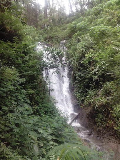 Obyek Wisata Curug Kali Kembang - air terjun di banjarnegara, 1. Curug Panaraban, 2. Curug Tumpuk Telu, 3. Curug Genting, 4. Curug Pletuk, 5. Curug Pitu, 6. Curug Bolong, 7. Curug Sirawe, 8. Curug Giri Tirta, 9. Curug Mrawu, 10. Curug Sikopel, 11. Curug Sinoman, 12. Curug Pundung Sewu, 13. Air Terjun Pertinggi, 14. Curug Cileret Banjarnegara, 15. Curug Gondang, 16. Air Terjun Tawana, 17. Air Terjun Sigrenjeng, 18. Obyek Wisata Curug Kali Kembang, 19. Air Terjun Semangkung