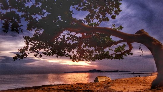 Pantai Jomtien via Tripadvisor, 1. Pantai Pattaya, penuh pesona di siang hari dan menggoda iman di malam hari, 2. Pantai Jomtien, cocok bagi pecinta keramaian yang lebih sunyi, 3. Pantai Na Jomtien, pantai populer yang tetap menawarkan privasi, 4. Pantai Naklua, ideal bagi pecinta suasana pantai dan kehidupan di sekitarnya, 5. Pantai Wong Amat, bagi kalian yang ingin santai menikmati matahari, 6. Koh Larn, pulau Coral dengan pantai indah yang jadi surga dunia di Pattaya, 7. Puas bermain di pantai, saatnya mengenal kehidupan di laut Pattaya dengan main ke Underwater World Pattaya, 8. Bosan dengan laut dan suasana pantai? Pattaya Park hadir untuk menyelamatkan hari kalian, 9. Nggak hanya punya pantai dan waterpark, Pattaya juga punya Nong Nooch Tropical Garden & Cultural Village yang terlalu keren untuk dilewatkan, 10. Wat Phra Yai dan patung Buddha berukuran super besarnya, 11. Wat Yansangwararam, kuil yang dipersembahkan untuk Raja Bhumibol Adulyadej, 12. Wat Chaimongkol, kuil megah dengan gaya arsitektur yang eksotis, 13. Walau bukan kuil, Sanctuary of Truth ini juga layak kalian sambangi karena tempat ini mewakili semua unsur filosofi dalam budaya Thailand kuno, 14. Bagi para penantang adrenalin, uji nyali kalian dengan mencoba berbagai petualangan di Flight of the Gibbon, 15. Ripley’s Believe It Or Not, museum yang akan membuat kalian tercengang hingga akhir, 16. Art in Paradise, galeri yang akan menipu mata kalian, 17. Teddy Bear Museum Pattaya, museum untuk pecinta beruang Teddy, 18. Untuk pengalaman wisata bernuansa lokal, mampirlah ke Pattaya Floating Market dan rasakan serunya belanja di pasar terapung, 19. Sebagai pengenalan terhadap dunia malam di Pattaya, mulailah dengan menyusuri Pattaya Walking Street, 20. Melihat Pertunjukan kabaret