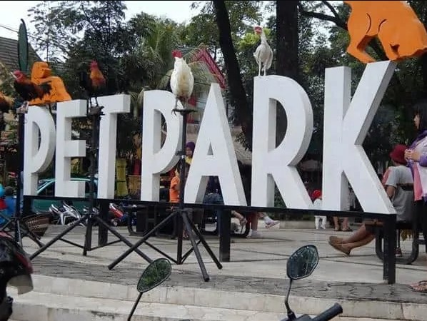 Pet Park, 1. Mari Mulai dari Taman Khusus bagi Kalian yang Masih Single, yaitu Taman Jomblo, 2. Tak Seperti Namanya, Taman Lansia ini Tak Hanya Keren Bagi para Senior, Tapi Untuk Siapa Saja, 3. Suka Dengan Fotografi dan Segala Pernak-perniknya? Taman Fotografi Ini Jadi Taman yang Tepat untuk Kalian Semua!, 4. Bagi yang Ingin Menikmati Suasana Taman Sambil Ngeceng, Taman Musik Centrum inilah Tempatnya, 5. Suka Sepakbola? Kunjungi Taman Persib yang Ada di Jalan Supratman, Bandung, 6. Mencari Romantisme Sambil Nonton Film? Jelas Bisa, Karena di Bandung Kini Ada Taman Film, 7. Taman Identik Dengan Bunga, dan Taman Pustaka Bunga Ini Salah Satu yang Paling Keren di Bandung, 8. Merasa Jago Main Skateboard, Atau Sekedar Ingin Belajar dari Ahlinya? Mainlah ke Taman Skateboard, 9. Mungkin Inilah Taman Paling Aman di Bandung, karena Banyak Superhero Nongkrong di Taman Superhero, 10. Taman Balaikota Memang Nggak Pernah Mati Gaya, Apalagi Karena Sekarang Disana Ada Gembok Cinta, 11. Beberapa Bangunan Kuno di Kota Bandung Bisa Kalian Nikmati di Sekitar Taman Vanda, 12. Nggak Hanya Manusia yang Doyan Hangout, Tapi Hewan Juga. Karena Itulah di Bandung Ada Pet Park, 13. Bikin badanmu berotot sambil hangout di Taman Fitness, 14. Lapangan Rumput Sintetis Bukan Hanya Monopoli Lapangan Sepakbola, karena Taman Alun-Alun Bandung Juga Punya. Bahkan Lebih Luas dan Lebih Keren!, 15. Kiara Artha Park, 16. Taman Lalu Lintas Ade Irma Suryani Nasution, 17. Teras Cikapundung, 18. Peta Park, 19. Taman Sejarah Bandung, 20. Taman Cibeunying, 21. Alun-Alun Cicendo, 22. Alun-alun Ujung Berung, 23. Tegallega Lampion Park, 24. Taman Labirin, 25. Taman Gesit, 26. Taman Veteran, 27. Taman Badak, 28. Taman Dewi Sartika, 29. Taman Asia Afrika Bandung