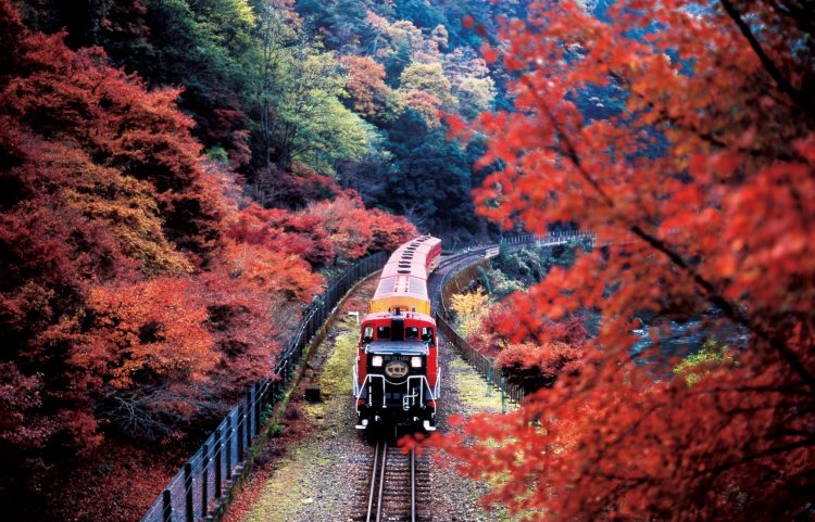 Sagano Romantic Train via All About Japan - Tempat Wisata di Kyoto