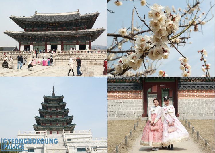 Seoul Gyeongbokgung Palace, Mengurus Visa Korea, Transportasi Menuju Seoul, Memilih Penginapan di Seoul, Rekomendasi Tempat Wisata di Seoul, Rekomendasi Tempat Wisata di Seoul Lainnya, Tempat Wisata Belanja di Seoul, Wisata Budaya Tradisional Korea, Destinasi Wisata Tradisional, Tempat Wisata Paling Instagramable di Seoul, Tempat Wisata Paling Palace di Seoul, Museum di Seoul yang Wajib Dikunjungi, Tempat Wisata untuk Pencinta K-Pop di Seoul, Wisata Alam dan Taman di Seoul