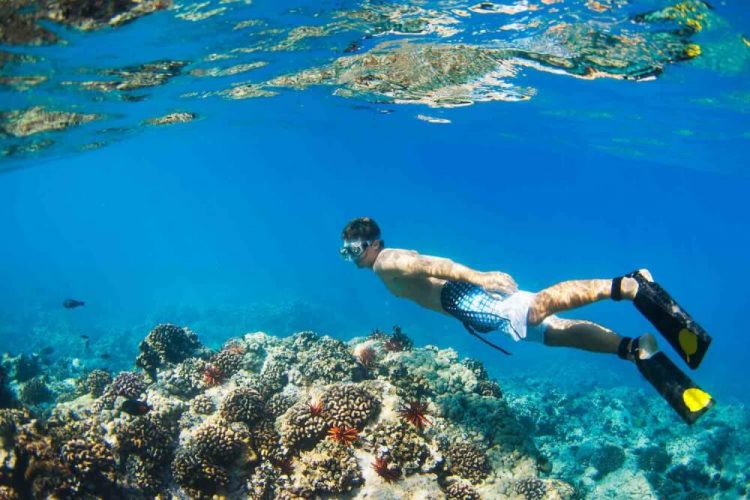 Snorkeling di Hawaii via Hawaiitravelwithkids, Informasi Dasar, Tentang Kepulauan Hawaii, Daya Tarik Wisata di Hawaii, Aktivitas Wisata Seru di Hawaii, Akses Menuju Kepulauan Hawaii
