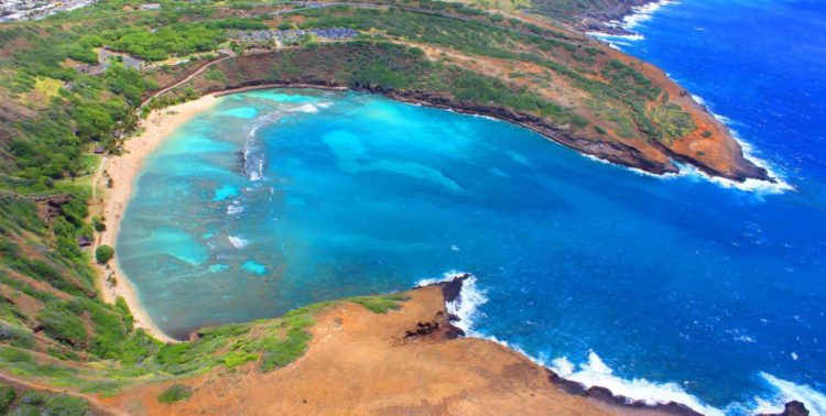 Snorkeling di Teluk Hanauma, Informasi Dasar, Daya Tarik Oahu Island, Aktivitas Seru &amp; Tempat Wisata di Pulau Oahu, Aktivitas Wisata Random di Pulau Oahu, Tips dan Trik, Akses dan Orientasi