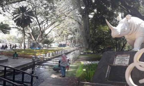 Taman Badak, 1. Mari Mulai dari Taman Khusus bagi Kalian yang Masih Single, yaitu Taman Jomblo, 2. Tak Seperti Namanya, Taman Lansia ini Tak Hanya Keren Bagi para Senior, Tapi Untuk Siapa Saja, 3. Suka Dengan Fotografi dan Segala Pernak-perniknya? Taman Fotografi Ini Jadi Taman yang Tepat untuk Kalian Semua!, 4. Bagi yang Ingin Menikmati Suasana Taman Sambil Ngeceng, Taman Musik Centrum inilah Tempatnya, 5. Suka Sepakbola? Kunjungi Taman Persib yang Ada di Jalan Supratman, Bandung, 6. Mencari Romantisme Sambil Nonton Film? Jelas Bisa, Karena di Bandung Kini Ada Taman Film, 7. Taman Identik Dengan Bunga, dan Taman Pustaka Bunga Ini Salah Satu yang Paling Keren di Bandung, 8. Merasa Jago Main Skateboard, Atau Sekedar Ingin Belajar dari Ahlinya? Mainlah ke Taman Skateboard, 9. Mungkin Inilah Taman Paling Aman di Bandung, karena Banyak Superhero Nongkrong di Taman Superhero, 10. Taman Balaikota Memang Nggak Pernah Mati Gaya, Apalagi Karena Sekarang Disana Ada Gembok Cinta, 11. Beberapa Bangunan Kuno di Kota Bandung Bisa Kalian Nikmati di Sekitar Taman Vanda, 12. Nggak Hanya Manusia yang Doyan Hangout, Tapi Hewan Juga. Karena Itulah di Bandung Ada Pet Park, 13. Bikin badanmu berotot sambil hangout di Taman Fitness, 14. Lapangan Rumput Sintetis Bukan Hanya Monopoli Lapangan Sepakbola, karena Taman Alun-Alun Bandung Juga Punya. Bahkan Lebih Luas dan Lebih Keren!, 15. Kiara Artha Park, 16. Taman Lalu Lintas Ade Irma Suryani Nasution, 17. Teras Cikapundung, 18. Peta Park, 19. Taman Sejarah Bandung, 20. Taman Cibeunying, 21. Alun-Alun Cicendo, 22. Alun-alun Ujung Berung, 23. Tegallega Lampion Park, 24. Taman Labirin, 25. Taman Gesit, 26. Taman Veteran, 27. Taman Badak, 28. Taman Dewi Sartika, 29. Taman Asia Afrika Bandung