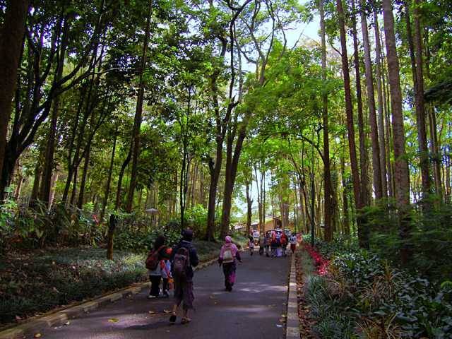 Taman Hutan Raya Juanda, 1. Mari mulai dari atraksi wisata populer di Bandung yang bisa kalian jajal dengan harga minimalis, bahkan ada yang gratis lho! Misalnya saja aneka taman tematiknya yang keren, 2. Dengan 10 ribu rupiah, kalian bisa mengelilingi kota Bandung sambil bergaya keren di atas Bus Bandros, 3. Salurkan hasratmu jadi koboi dengan naik kuda. Harganya mulai dari 5 ribuan saja lho, 4. Ingin tahu seperti apa suasana pasar terapung? Nggak usah jauh-jauh ke Thailand karena di Bandung pun ada Floating Market, 5. Terkadang, wisata murah bisa begitu dekat dengan bintang. Nggak percaya? Mampir saja ke Observatorium Bosscha yang ada di bilangan Lembang untuk membuktikannya, 6. Walau bukan obyek wisata mayor, Cagar Alam Junghuhn layak untuk dikunjungi oleh kalian yang menghargai jasa para pahlawan, 7. Air terjun Maribaya selalu menjadi favorit bagi mereka yang mencintai suasana alam dengan budget yang ekonomis, 8. Dan, dari Maribaya, kalian bisa langsung menuju Taman Hutan Raya Juanda. Harga tiketnya sama ekonomisnya lho, 9. Untuk melengkapi kunjungan di Taman Hutan Raya Juanda, sekalian saja mampir ke tempat selfie paling populer di Bandung, yaitu Tebing Keraton, 10. Menikmati sejuknya udara Bandung bisa kalian lakukan sambil mengenal ragam fauna di Kebun Binatang Bandung, 11. Area Bandung Selatan juga punya banyak obyek wisata yang menyayangi kantong kalian. Misalnya saja wisata Kawah Putih-nya yang super populer itu, 12. Untuk kalian para pecinta wisata alam dan pengagum nilai-nilai romantisme, Situ Patenggang menjadi tempat yang wajib kalian sambangi di Bandung, 13. Mampirlah ke Pemandian Air Panas Cibolang yang akan menghangatkan tubuh kalian dari gigitan udara dingin di Ciwidey, 14. Cibolang bukan satu-satunya tempat yang dapat menghangatkan tubuh kalian saat dingin. Kunjungi saja Taman Wisata Alam Cimanggu yang juga menawarkan kolam pemandian air panas alami, 15. Atau, mampirlah ke pemandian Air Panas Alami Walini/Rancawalini juga populer di wilayah Ciwidey. Kalian dapat menikmati suasana berendam air panas di tengah perkebunan teh, 16. Wisata di Ciwidey akan semakin lengkap jika kalian berjalan-jalan di tengah Perkebunan Teh Rancabali. Pemandangannya yang indah akan membuat siapapun mendadak suka mengambil foto, 17. Untuk menutup wisata hemat di Bandung, mampirlah ke Pasar Gedebage untuk belanja pakaian second berkualitas bagus. Harganya? Murah meriah!, 18. Balitsa Lembang yang Instagramable, 19. Keindahan Babakan Siliwangi yang bikin mata terpana, 20. Mengintip Dinosaurus di Museum Geologi, 21. Kawah Rengganis yang begitu eksotis, 22. Epic Sunrise di Venue Gantole Cililin, 23. Menikmati pesona alam hijau di Bukit Teletubies, 24. Menikmati pesona alam hijau khas bebukitan di Bukit Jamur, 25. Pesona Curug Bellarosa yang bikin pikiran adem, 26. Epiknya pemandangan di Gunung Nini Pangalengan