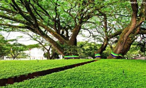 Taman Labirin, 1. Mari Mulai dari Taman Khusus bagi Kalian yang Masih Single, yaitu Taman Jomblo, 2. Tak Seperti Namanya, Taman Lansia ini Tak Hanya Keren Bagi para Senior, Tapi Untuk Siapa Saja, 3. Suka Dengan Fotografi dan Segala Pernak-perniknya? Taman Fotografi Ini Jadi Taman yang Tepat untuk Kalian Semua!, 4. Bagi yang Ingin Menikmati Suasana Taman Sambil Ngeceng, Taman Musik Centrum inilah Tempatnya, 5. Suka Sepakbola? Kunjungi Taman Persib yang Ada di Jalan Supratman, Bandung, 6. Mencari Romantisme Sambil Nonton Film? Jelas Bisa, Karena di Bandung Kini Ada Taman Film, 7. Taman Identik Dengan Bunga, dan Taman Pustaka Bunga Ini Salah Satu yang Paling Keren di Bandung, 8. Merasa Jago Main Skateboard, Atau Sekedar Ingin Belajar dari Ahlinya? Mainlah ke Taman Skateboard, 9. Mungkin Inilah Taman Paling Aman di Bandung, karena Banyak Superhero Nongkrong di Taman Superhero, 10. Taman Balaikota Memang Nggak Pernah Mati Gaya, Apalagi Karena Sekarang Disana Ada Gembok Cinta, 11. Beberapa Bangunan Kuno di Kota Bandung Bisa Kalian Nikmati di Sekitar Taman Vanda, 12. Nggak Hanya Manusia yang Doyan Hangout, Tapi Hewan Juga. Karena Itulah di Bandung Ada Pet Park, 13. Bikin badanmu berotot sambil hangout di Taman Fitness, 14. Lapangan Rumput Sintetis Bukan Hanya Monopoli Lapangan Sepakbola, karena Taman Alun-Alun Bandung Juga Punya. Bahkan Lebih Luas dan Lebih Keren!, 15. Kiara Artha Park, 16. Taman Lalu Lintas Ade Irma Suryani Nasution, 17. Teras Cikapundung, 18. Peta Park, 19. Taman Sejarah Bandung, 20. Taman Cibeunying, 21. Alun-Alun Cicendo, 22. Alun-alun Ujung Berung, 23. Tegallega Lampion Park, 24. Taman Labirin, 25. Taman Gesit, 26. Taman Veteran, 27. Taman Badak, 28. Taman Dewi Sartika, 29. Taman Asia Afrika Bandung