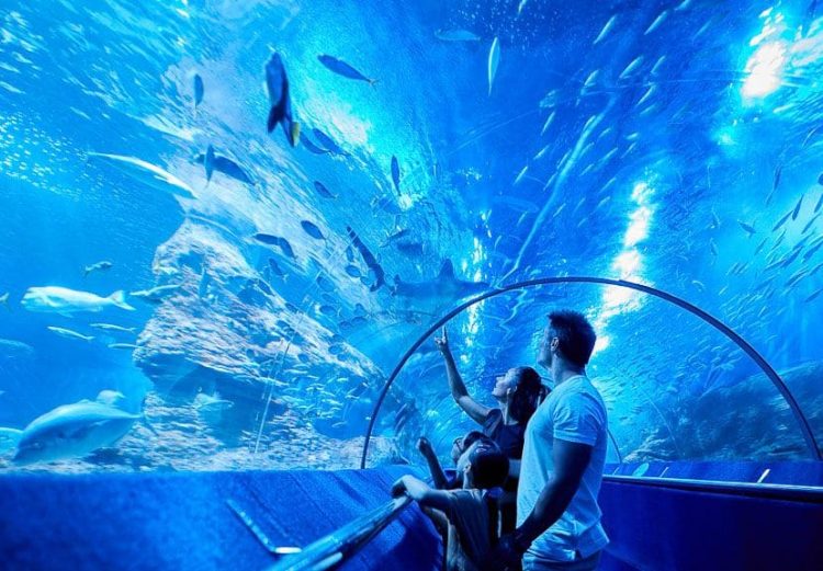 Aquarium of Western Australia