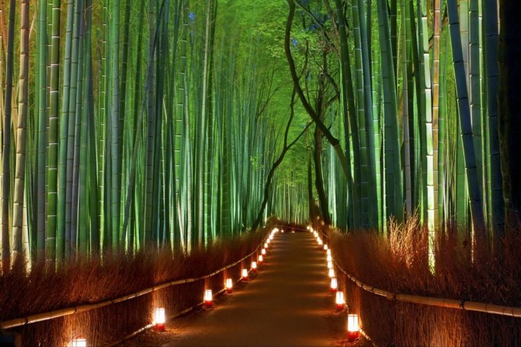 Arashiyama Bamboo Forest via Pinterest, #1: Fushimi Inari Taisha, #2: Stasiun JR Inari – Stasiun Sagaarashiyama, #3: Stasiun Sagaarashiyama – Arashiyama Bamboo Forest, #5: Stasiun Sagaarashiyama – Stasiun Emmachi, #6: Kinkaku-ji Temple, #7: Gion