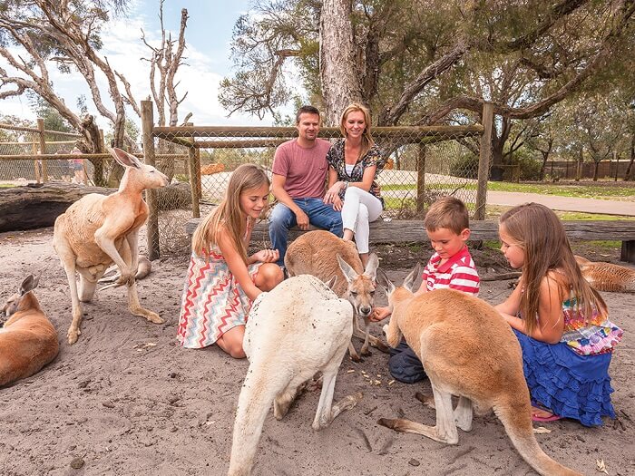 Caversham Wildlife Park