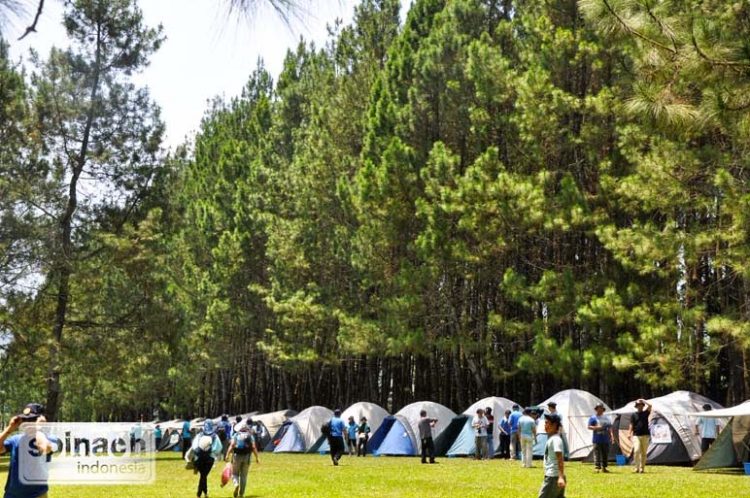 Family Gathering, Sejarah Pine Forest Camp, Alamat Pine Forest Camp Lembang, Menuju Lokasi Pine Forest Camp, Peta Lokasi, Nomor Telepon, Jam Operasional, Harga Tiket Masuk Pine Forest Camp, Daftar Harga Paket Pine Forest Camp Lembang Terbaru, Aktifitas Wisata Menarik di Pine Forest Camp, Fasilitas, Aturan Kawasan Pine Forest Camp Lembang