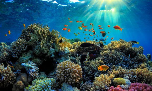 Great Barrier Reef