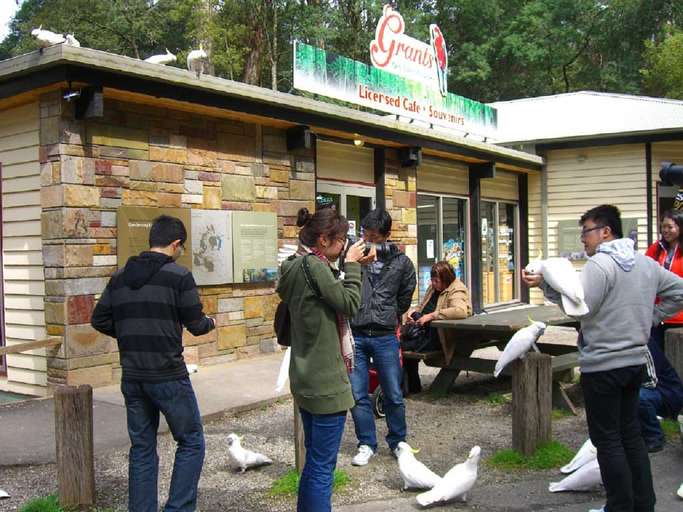 Healesville Sanctuary via Traveloka