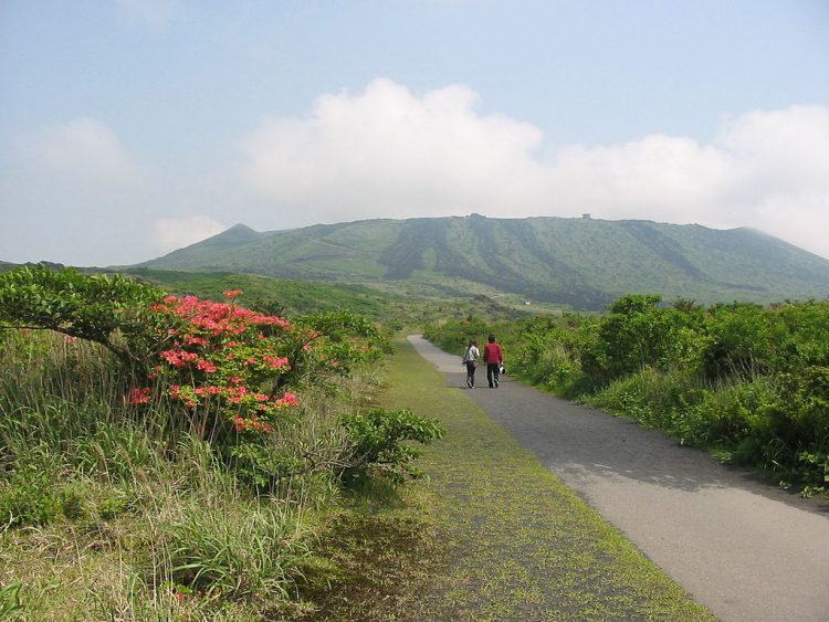 Hiking Gunung Mihara via wikipedia, Informasi Dasar, Sekilas Tentang Kepulauan Izu, Daya Tarik Oshima, Aktivitas Seru & Tempat Wisata di Oshima, Cara Mengakses Oshima, Tips dan Informasi Penting