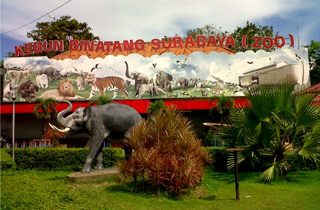 Kebun Binatang Surabaya, Sejarah Kebun Binatang Surabaya, Apasih Yang Menarik di Kebun Binatang Surabaya (KBS)?, Cara Menuju Kebun Binatang Surabaya, Jam Operational &amp; Tiket Masuk Ke Kebun Binatang Surabaya, Tips Berwisata di Kebun Binatang Surabaya