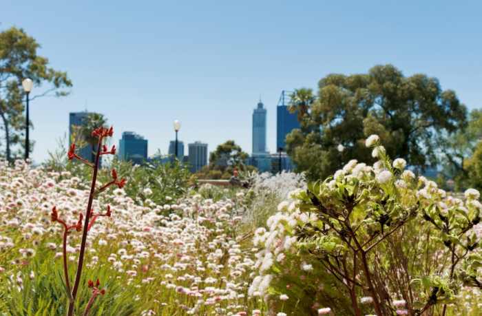 Kings Park & Botanic Garden