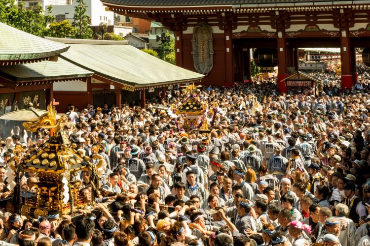 Matsuri via Tripjepang