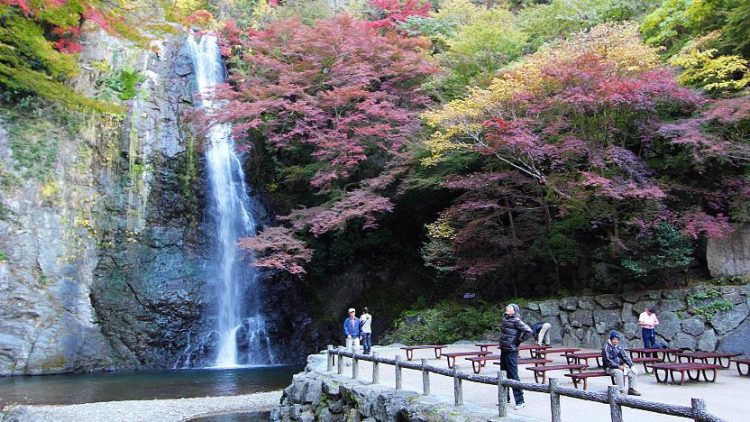 Mino Park via Japan GUide 23 Objek Wisata & Aktivitas Seru di Osaka yang Wajib Disambangi!