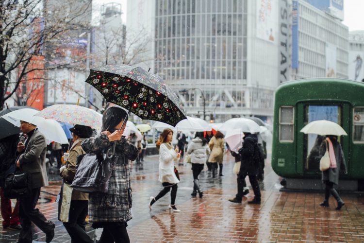 Musim hujan di Jepang via Artforia, Mari mulai dengan menikmati mekarnya bunga Sakura di musim semi, Larut dalam lautan warna-warni musim gugur di Jepang, Mengenal musim liburan di Jepang, Cerita tentang tsuyu dan taifun