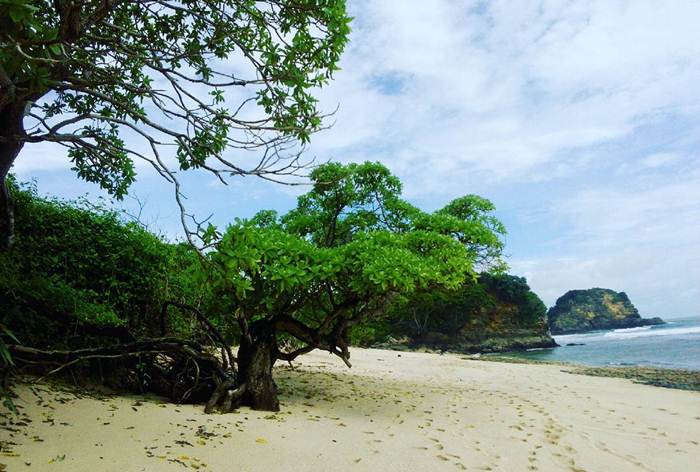 Pantai Kuncaran via IG @mirfanne, 1. Pantai 3 Warna Malang, 2. Pantai Watu Lepek, 3. Pantai Sendiki, 4. Pantai Jelangkung, Nama Mistis yang Tidak Mistis, 5. Pantai Batu Bengkung, 6. Pantai Ngliyep, 7. Pantai Perawan, 8. Pantai Clungup, 9. Wisata Pantai Bowele, 10. Pantai Selok, 11. Pantai Banyu Meneng, 12. Pantai Seling Ciut yang Tersembunyi, 13. Pantai di Pulau Sempu, 14. Pantai Watu Leter Malang, 15. Pantai Tamban, 16. Pantai Balekambang, 17. Pantai Wedi Awu, 18. Pantai Bajul Mati Malang, 19. Pantai Gatra yang Tertutup Barisan Bukit, 20. Pantai Ngopet, 21. Pantai Ngudel, 22. Pantai Teluk Asmara, 23. Pantai Kondang Merak, 24. Pantai Waru Waru, 25. Pantai Pesanggrahan, 26. Pantai Taman Ayu, 27. Pantai Kuncaran, 28. Pantai Karang Bolong, 29. Pantai Karang Tengkorak
