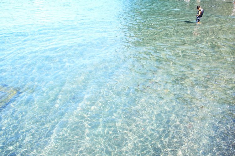 Pantai Hinode-hana Oshima via Flickr, Informasi Dasar, Sekilas Tentang Kepulauan Izu, Daya Tarik Oshima, Aktivitas Seru & Tempat Wisata di Oshima, Cara Mengakses Oshima, Tips dan Informasi Penting