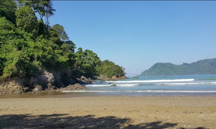 Pantai Lenggoksono, 1. Pantai Sipelot, 2. Pantai Licin, 3. Pantai Balekambang, 4. Pantai Ngliyep, 5. Pantai Batu Bengkung, 6. Pantai Watu Leter, 7. Pantai Bajulmati, 8. Pantai Goa Cina, 9. Pantai Lenggoksono, 10. Pantai Jonggring Saloko, 11. Pantai Mbehi, 12. Pantai Modangan, 13. Pantai Bantol, 14. Pantai Kondang Buntung, 14. Pantai Kondang Merak, 15. Pantai Watu Pecah, 16. Pantai Tiga Warna, 17. Pantai Sendang Biru, 18. Pantai Ngandol, 19. Pantai Banyu Anjlok, 20. Pantai Sendiki, 21. Pantai Tamban, 22. Pantai Bolu- Bolu, 23. Pantai Wediawu, 24. Pantai Wonogoro, 25. Pantai Nganteb, 26. Pantai Clungup, 27. Pantai Banyumeneng, 28. Pantai Gatra, 29. Pantai Jonggring Saloka, 30. Pantai Watu Lepek, 31. Pantai Wedi Putih, 32. Pantai Klatakan, 33. Pantai Pancer, 34. Pantai Kaliapus, 35. Pantai Bangsong, 36. Pantai Savana, 37. Pantai Teluk Asmoro, 38. Pantai Tomen, 39. Pantai Ungapan, 40. Pantai Jolangkung, 41. Pantai Parang Dowo, 42. Pantai Telok, 43. Pantai Kajaran, 44. Pantai Wedi Klopo, 45. Pantai Ngopet, 46. Pantai Pasang, 47. Pantai Karang Tengkorak, 48. Pantai Karang Bolong, 49. Pantai Ngudel, 50. Pantai Kuncaran, 51. Pantai Taman Ayu, 52. Pantai Pesanggrahan
