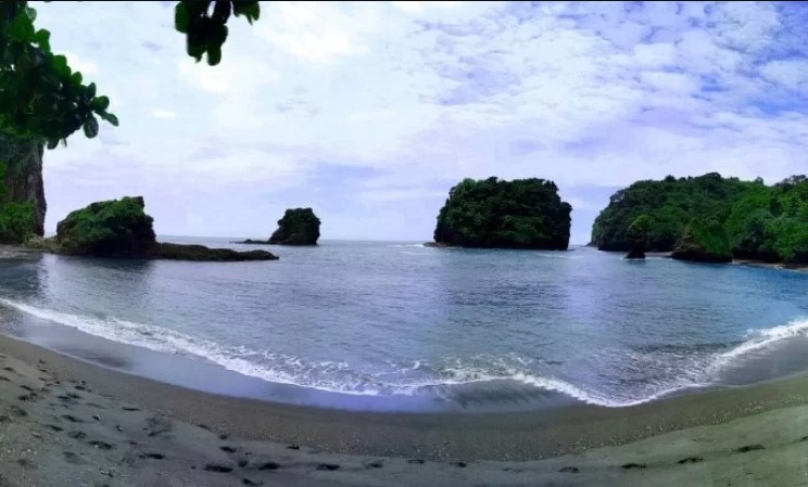 Pantai Licin, 1. Pantai Sipelot, 2. Pantai Licin, 3. Pantai Balekambang, 4. Pantai Ngliyep, 5. Pantai Batu Bengkung, 6. Pantai Watu Leter, 7. Pantai Bajulmati, 8. Pantai Goa Cina, 9. Pantai Lenggoksono, 10. Pantai Jonggring Saloko, 11. Pantai Mbehi, 12. Pantai Modangan, 13. Pantai Bantol, 14. Pantai Kondang Buntung, 14. Pantai Kondang Merak, 15. Pantai Watu Pecah, 16. Pantai Tiga Warna, 17. Pantai Sendang Biru, 18. Pantai Ngandol, 19. Pantai Banyu Anjlok, 20. Pantai Sendiki, 21. Pantai Tamban, 22. Pantai Bolu- Bolu, 23. Pantai Wediawu, 24. Pantai Wonogoro, 25. Pantai Nganteb, 26. Pantai Clungup, 27. Pantai Banyumeneng, 28. Pantai Gatra, 29. Pantai Jonggring Saloka, 30. Pantai Watu Lepek, 31. Pantai Wedi Putih, 32. Pantai Klatakan, 33. Pantai Pancer, 34. Pantai Kaliapus, 35. Pantai Bangsong, 36. Pantai Savana, 37. Pantai Teluk Asmoro, 38. Pantai Tomen, 39. Pantai Ungapan, 40. Pantai Jolangkung, 41. Pantai Parang Dowo, 42. Pantai Telok, 43. Pantai Kajaran, 44. Pantai Wedi Klopo, 45. Pantai Ngopet, 46. Pantai Pasang, 47. Pantai Karang Tengkorak, 48. Pantai Karang Bolong, 49. Pantai Ngudel, 50. Pantai Kuncaran, 51. Pantai Taman Ayu, 52. Pantai Pesanggrahan