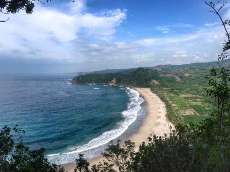 Pantai Modangan, 1. Pantai Sipelot, 2. Pantai Licin, 3. Pantai Balekambang, 4. Pantai Ngliyep, 5. Pantai Batu Bengkung, 6. Pantai Watu Leter, 7. Pantai Bajulmati, 8. Pantai Goa Cina, 9. Pantai Lenggoksono, 10. Pantai Jonggring Saloko, 11. Pantai Mbehi, 12. Pantai Modangan, 13. Pantai Bantol, 14. Pantai Kondang Buntung, 14. Pantai Kondang Merak, 15. Pantai Watu Pecah, 16. Pantai Tiga Warna, 17. Pantai Sendang Biru, 18. Pantai Ngandol, 19. Pantai Banyu Anjlok, 20. Pantai Sendiki, 21. Pantai Tamban, 22. Pantai Bolu- Bolu, 23. Pantai Wediawu, 24. Pantai Wonogoro, 25. Pantai Nganteb, 26. Pantai Clungup, 27. Pantai Banyumeneng, 28. Pantai Gatra, 29. Pantai Jonggring Saloka, 30. Pantai Watu Lepek, 31. Pantai Wedi Putih, 32. Pantai Klatakan, 33. Pantai Pancer, 34. Pantai Kaliapus, 35. Pantai Bangsong, 36. Pantai Savana, 37. Pantai Teluk Asmoro, 38. Pantai Tomen, 39. Pantai Ungapan, 40. Pantai Jolangkung, 41. Pantai Parang Dowo, 42. Pantai Telok, 43. Pantai Kajaran, 44. Pantai Wedi Klopo, 45. Pantai Ngopet, 46. Pantai Pasang, 47. Pantai Karang Tengkorak, 48. Pantai Karang Bolong, 49. Pantai Ngudel, 50. Pantai Kuncaran, 51. Pantai Taman Ayu, 52. Pantai Pesanggrahan