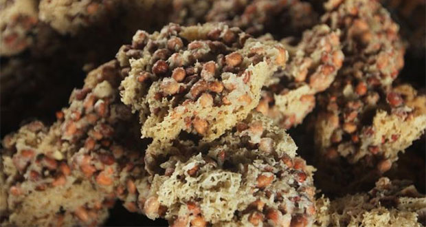Peyek Mbok Tumpuk via Tribunnews, 1. Gudeg , 2. Krecek, 3. Bakpia Pathok, 4. Yangko, 5. Oseng Mercon, 6. Cilok Gajahan, 7. Cenil Jogja , 8. Geplak , 9. Coklat Monggo , 10. Bakmi Jogja , 11. Gatot Gunung Kidul , 12. Walang atau Belalang Goreng, 13. Nasi Tiwul, 14. Sego Abang Jirak , 15. Sayur Lombok Ijo , 16. Bakmi Pentil , 17. Peyek Tumpuk , 18. Mie Des , 19. Kue Adrem , 20. Sate Klatak , 21. Wedang Uwuh, 22. Wedang Ronde, 23. Nasi Kucing, 24. Mangut Lele, 25. Kopi Jos, 26. Ingkung Ayam, 27. Mie Lethek, 28. Soto Bathok, 29. Kipo, 30. Soto Lenthok, 31. Brongkos, 32. Geblek, 33. Sate Petir, 34. Tengkleng Gajah, 35. Kicak, 36. Sate Kere, 37. Kripik Belut, 38. Enthok Slenget, 39. Sego Pliket, 40. Sego Godhog, 41. Sambel Welut