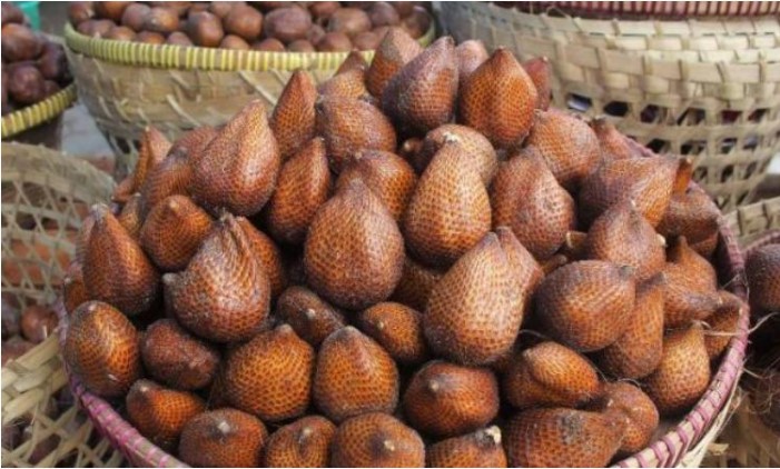 Salak Pondoh via Tribunnews, 1. Bakpia Jogja, 2. Yangko, 3. Geplak, 4. Gudeg Jogja, 5. Coklat Monggo, 6. Salak Pondoh, 7. Tiwul Yu Tum, 8. Jadah Tempe Mbah Carik, 9. Tasuba (Tahu Susu Bakso) Jogja, 10. Belalang Goreng (Walang Goreng), 11. Keripik Belut Jogja, 12. Seafood Olahan Jogja, 13. Peyek Mbok Tumpuk, 14. Batik Jogja, 15. Kerajinan Perak Jogja, 16. Blangkon, 17. Brownies Ubi Ungu, 18. Keripik Tempe Sagu, 19. Jogja Scrummy, 20. Gudeg Kaleng, 21. Gerabah Kasongan, 22. Kaos Dagadu, 23. Kue Mochi, 24. Keripik Welut, 25. Wayang, 26. Kerajinan Kulit, 27. Aksesoris Khas Jogja, 28. Tas Dowa, 29. Bakpia Princess Cake, 30. Wedang Uwuh, 31. Geblek Kulonprogo, 32. Tas Rotan, 33. Kopi Merapi, 1. Naturalan, 2. Kaloka Pottery, 3. Toko Barang Bareng, 4. Dowa Bag And Factory, 6. Mamahke Jogja