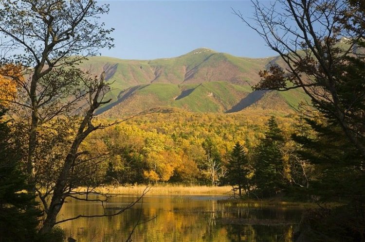 Shiretoko National Park via Lonelyplanetimages